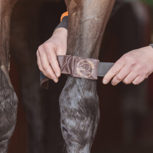 Equi-Motionband - Framben